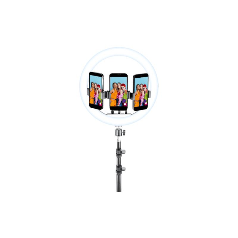 supporto selfie ring nero universale Anello led con modalità RGB a luminosità regolabile e treppiede da 160 cm per riprese video