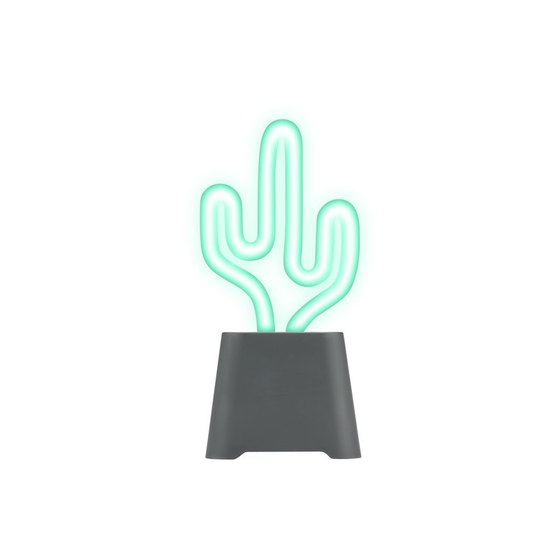 speaker bluetooth  led cactus